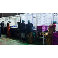 Tulja Coating Plant5 img -4.